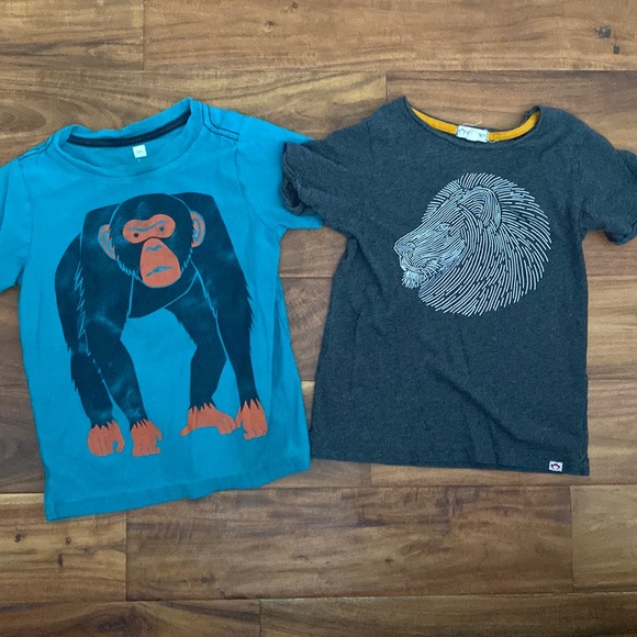 Boys Bundle Animal Print Tees size 5. Appaman - Tea Collection